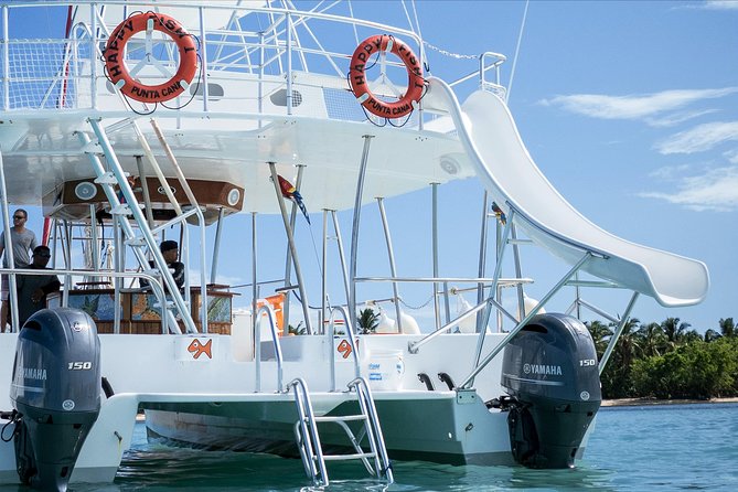 Small Group Snorkeling Cruise with Open Bar and Light Snacks - What is served at the open bar