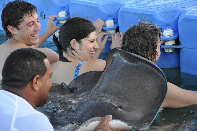 Small Group Snorkeling, Sharks & Stingrays Encounter by boat - The natural pool and shallow-water break