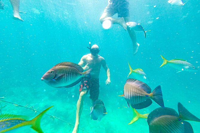 Snorkel Lovers for All Ages & Premium Seafood Lunch in Punta Cana - Lunch comes from a floating kitchen