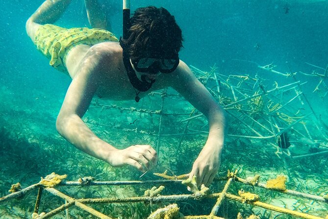 Snorkel Lovers for All Ages & Premium Seafood Lunch in Punta Cana - The crew makes the family difference