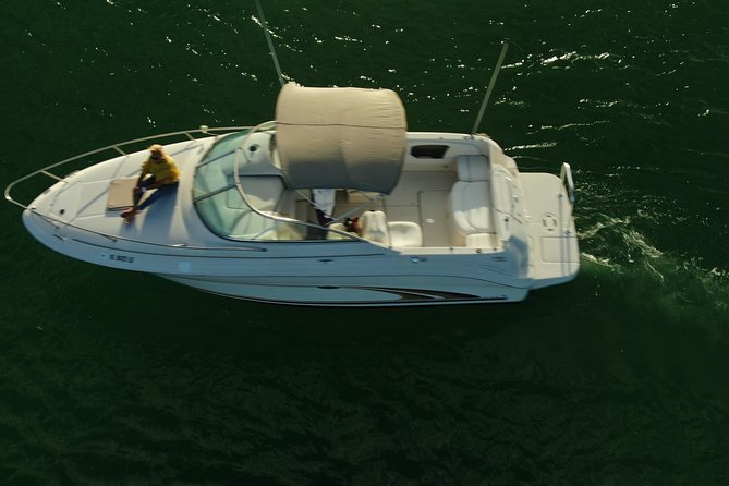 Snorkel & Sandbar on Private Searay Yacht 25ft in Cap Cana Marina ,Punta Cana - What is included, and what you should bring