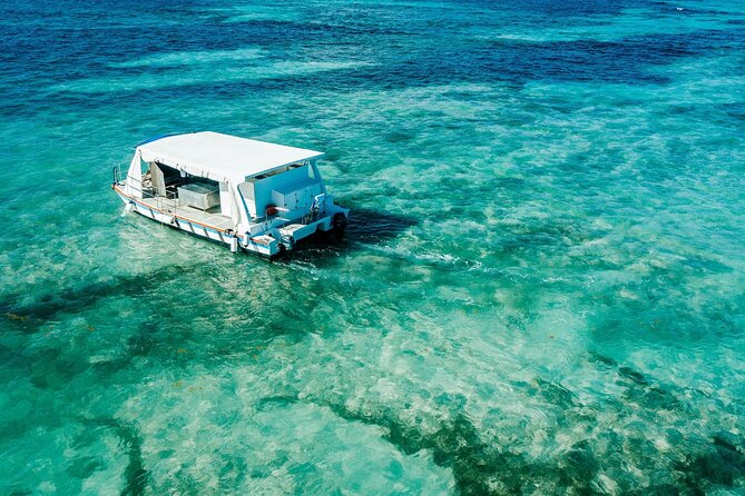 Snorkeling and Swimming on a Caribbean Cruise by Sharky Catamarans - Swimming at the Coyote floating bar