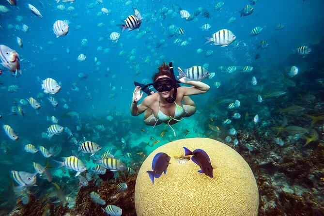 Snorkeling and Swimming on a Caribbean Cruise by Sharky Catamarans - What the $118 price includes