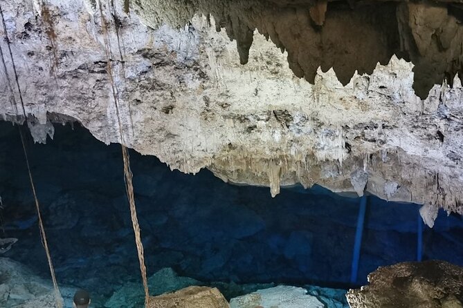 Snorkeling in the Cenotes of Bayahibe - Should You Book the Cenotes of Bayahibe?