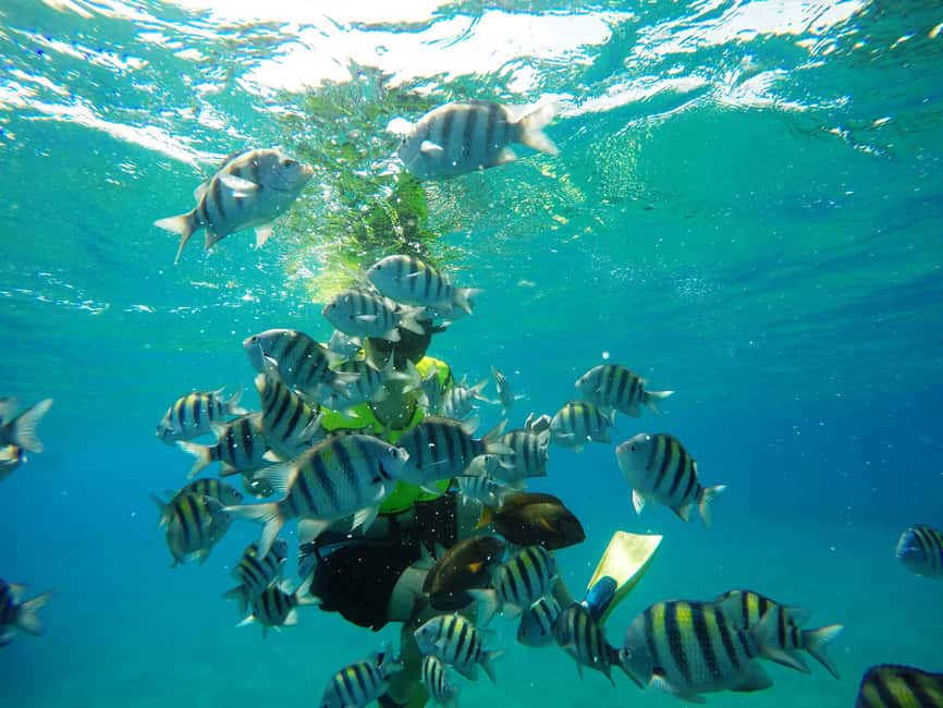 Snorkeling Tour & Sosua Beach Day - Key points to know before booking