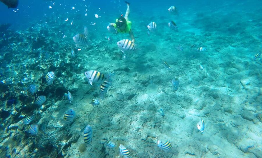 Snorkeling Tour & Sosua Beach Day - Starting with pickup in Puerto Plata Province