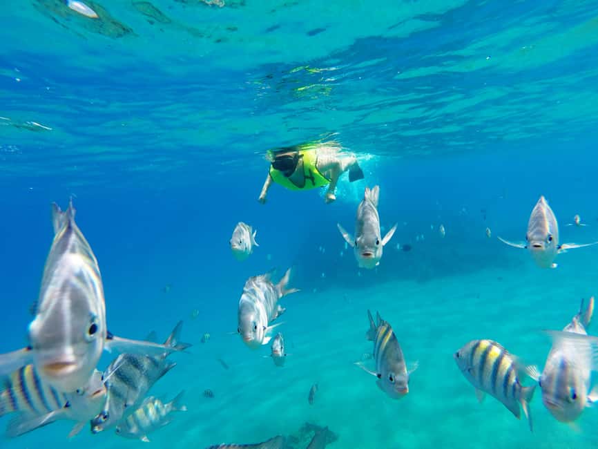 Snorkeling Tour & Sosua Beach Day - First stop: Three Rocks reef