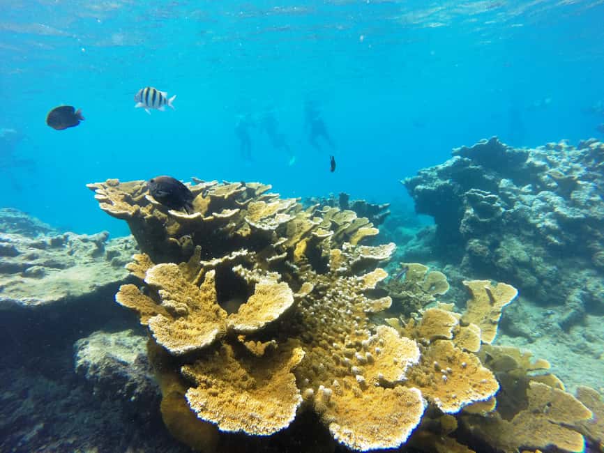 Snorkeling Tour & Sosua Beach Day - Beach time on Sosua’s one-kilometer shore