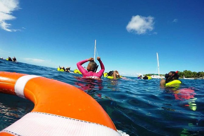 Sosua Catamaran Excursion - Sailing Along the Dominican Coast