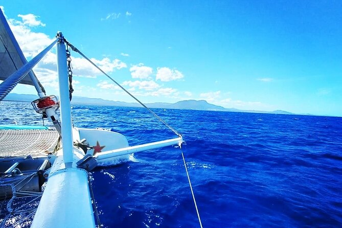 Sosua Catamaran Excursion - Two Snorkel Stops Near Sosua