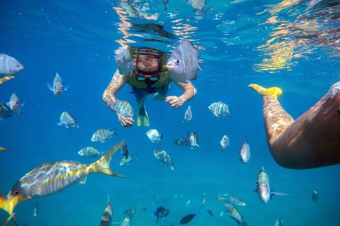 Sosua Party Boat -Snorkeling-Brunch-Drinks-Snacks-Transportation - The natural pool where two seas meet