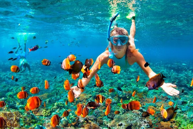 Speed Boat Adventure In Punta Cana - What You See Along the Coast
