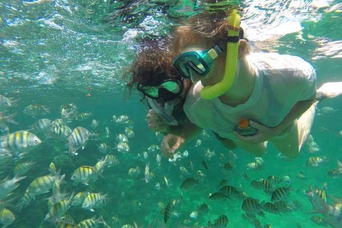 Speed Boat and Snorkeling in Punta Cana Bavaro - The reef stop: a short look below the surface