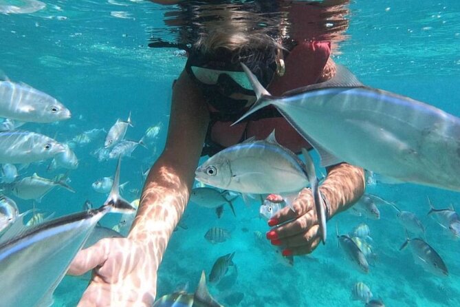 Speed Boat and Snorkeling in Punta Cana Bavaro - The natural pool and sandbar trade comfort for atmosphere