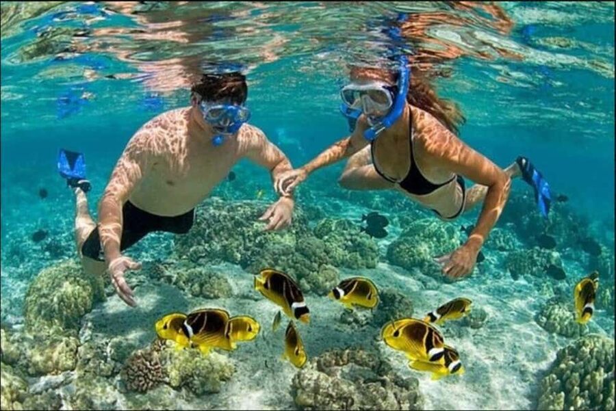 Speedboat Adventure and Snorkeling from Punta Cana - The coral reef stop and its colorful fish
