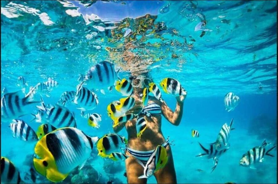 Speedboat Adventure and Snorkeling from Punta Cana - FAQ