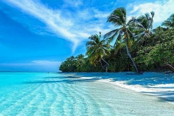 standard and premium transfer from punta cana airport to las terrenas - Who will get the most from this transfer?