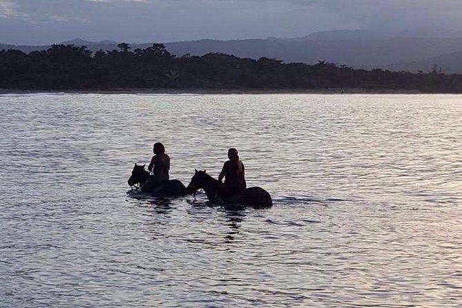 Sunset Beach Horseback Riding - From Puerto Plata to the jungle trail
