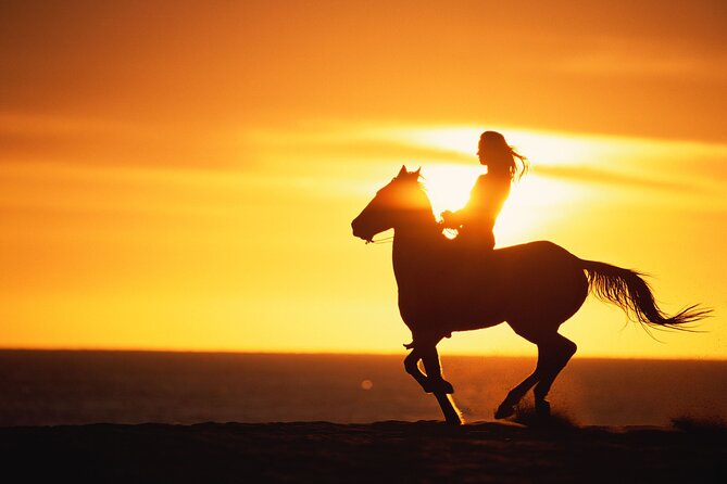 Sunset Beach Horseback Riding - What $69 buys you