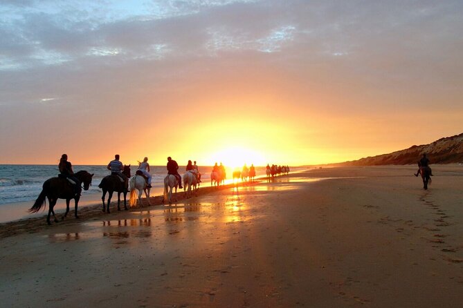 Sunset Beach Horseback Riding - Who will enjoy this ride most
