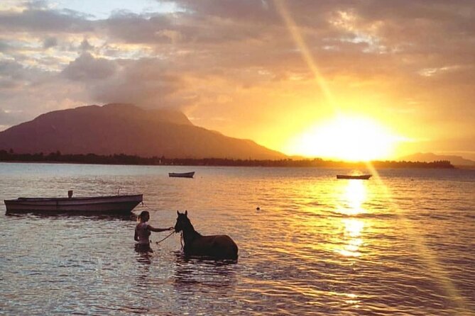Sunset Beach Horseback Riding - Should you book Sunset Beach Horseback Riding?