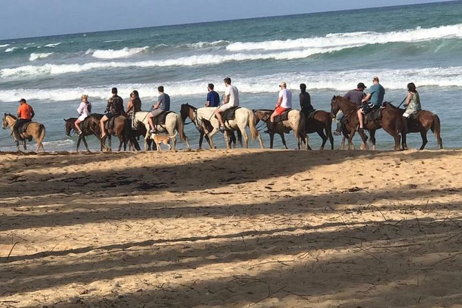 Sunset beach horsebackriding Punta Cana - At a glance