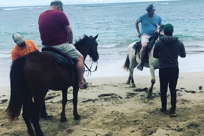 Sunset beach horsebackriding Punta Cana - The sunset promise needs a closer look