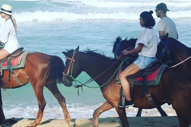 Sunset beach horsebackriding Punta Cana - Who will enjoy this ride most?