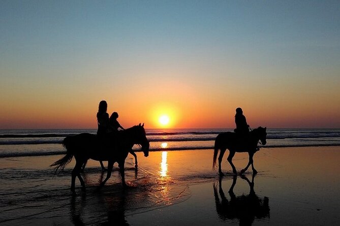 Sunset Horseback Riding in Puerto Plata - The Puerto Plata Malecón and the Atlantic edge