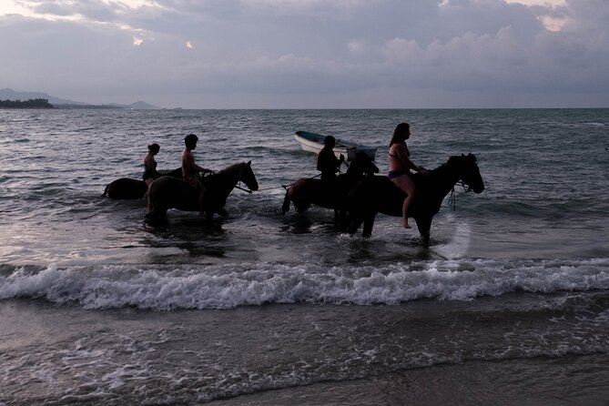 Sunset Horseback Riding in Puerto Plata - Following the coast toward a quieter beach