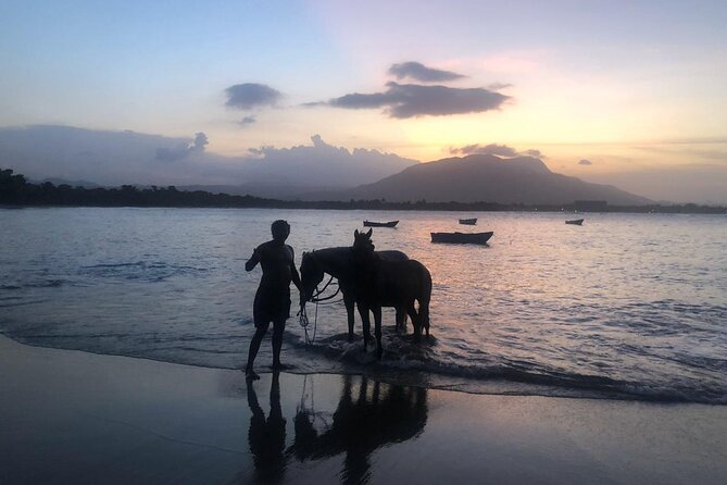 Sunset Horseback Riding in Puerto Plata - Swimming with horses in the sea