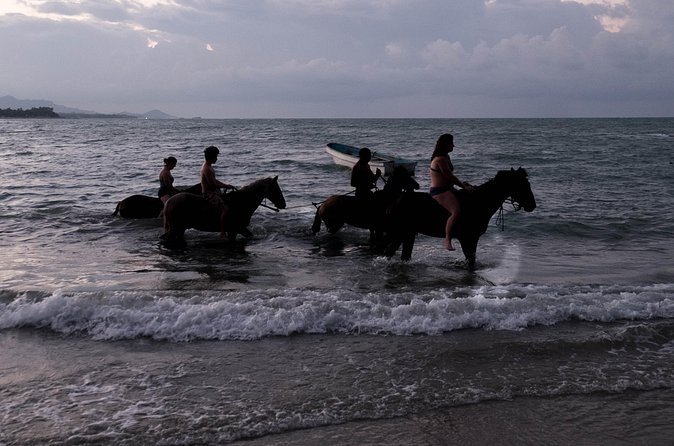 Sunset Horseback Riding in Puerto Plata - Sunset, moonlight, and the return ride