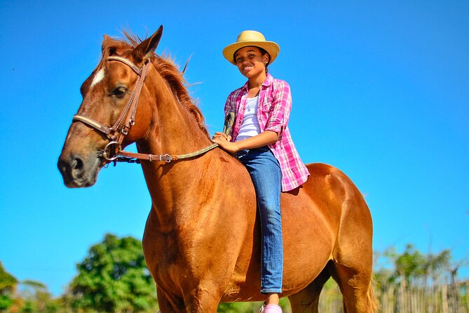 Sunset Horseback Riding Tour in Punta Cana (Private Option) - The Best Part Comes at Sunset