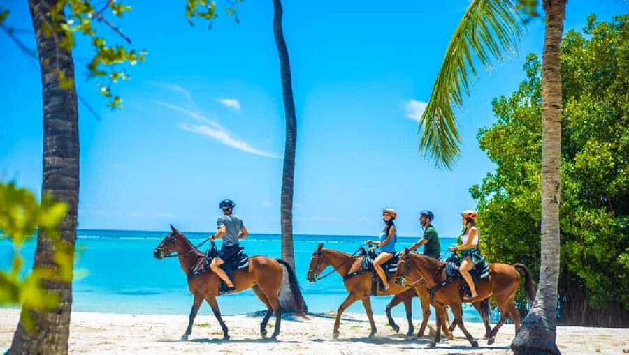 Swim Horse fom Punta Cana - Key points to know before booking