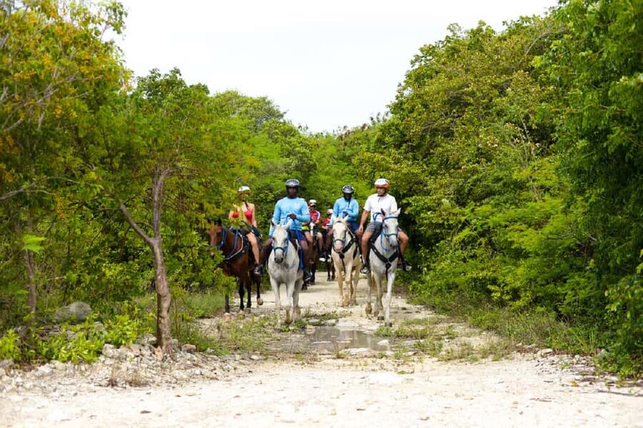 Swim Horse fom Punta Cana - Riding from Punta Cana into the tropical forest