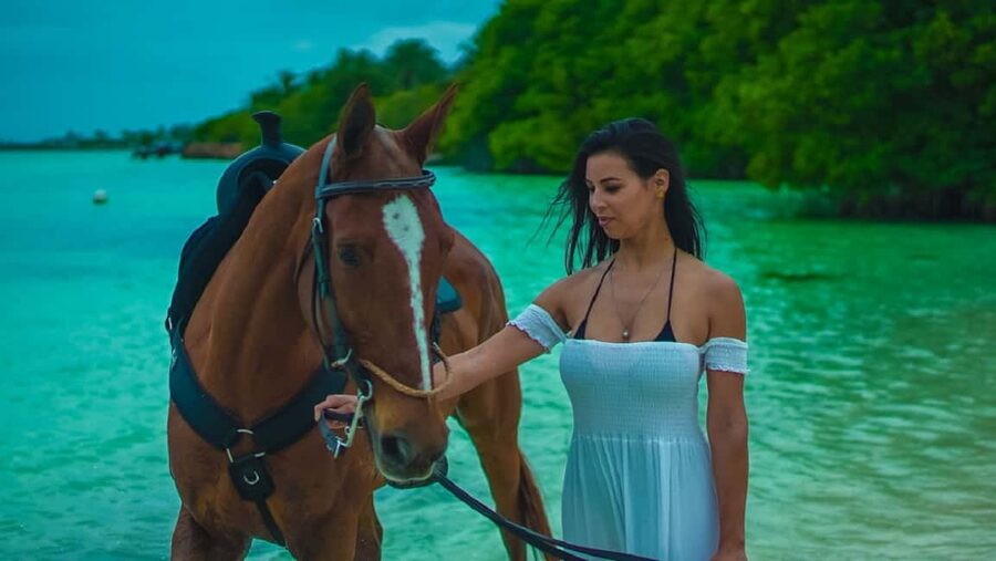 Swim Horse fom Punta Cana - What the horse swim is actually like