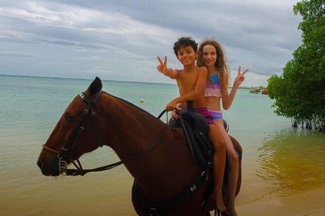 Swimming with Horses at the Beach from Punta Cana Free transportation - Swimming with the horses in the Caribbean