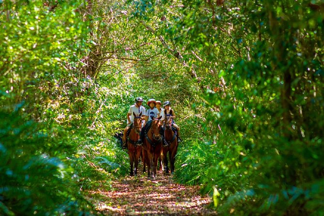 Swimming with Horses at the Beach from Punta Cana Free transportation - Transport, timing, and the small details that matter