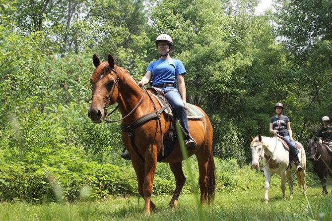 Swimming with Horses at the Beach from Punta Cana Free transportation - What to pack for the ride and swim