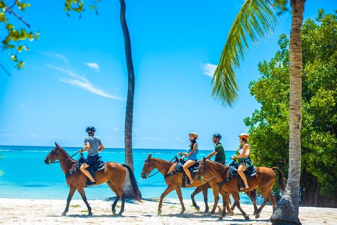 Swimming with Horses at the Beach from Punta Cana Free transportation - The beach snack stop and horse room