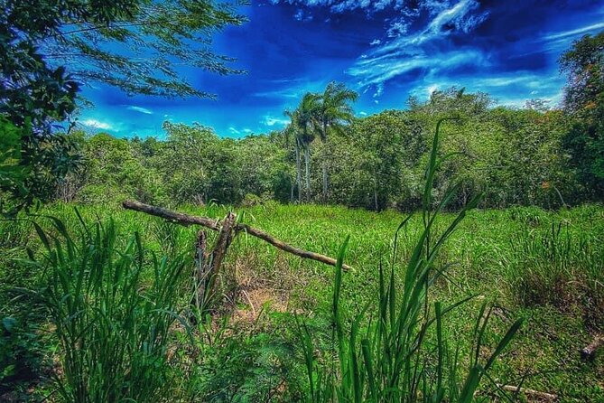 Taino Bay & amber cove 7 Damajagua Waterfall Lunch Excursion - Damajagua is the reason to go