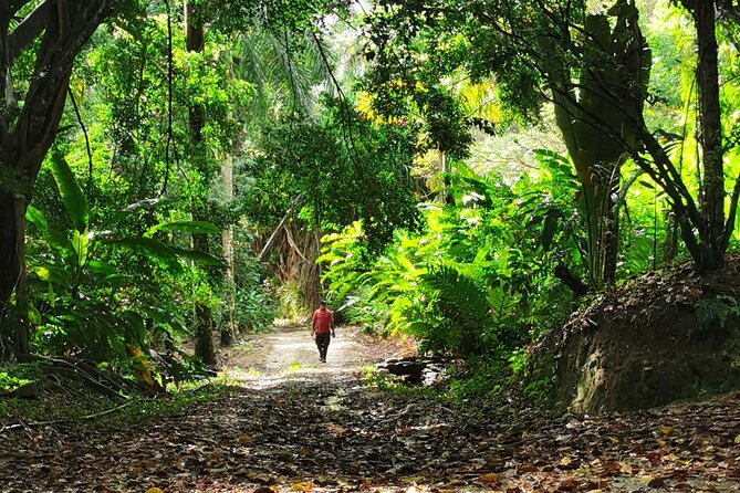 Taino Valley Tropical Park Puerto Plata Tubagua - The Valley Viewpoint