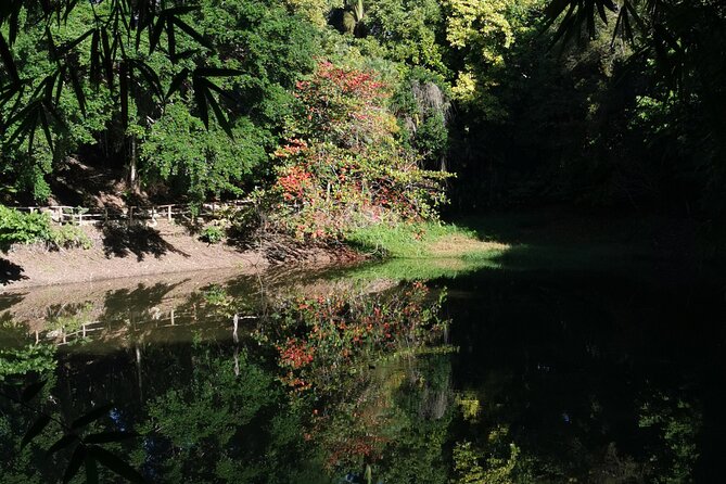 Taino Valley Tropical Park Puerto Plata Tubagua - Coffee, Fruit, and the Taste of the Region