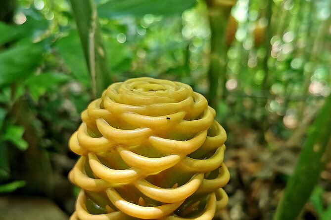 Taino Valley Tropical Park Puerto Plata Tubagua - What the $79 Price Includes