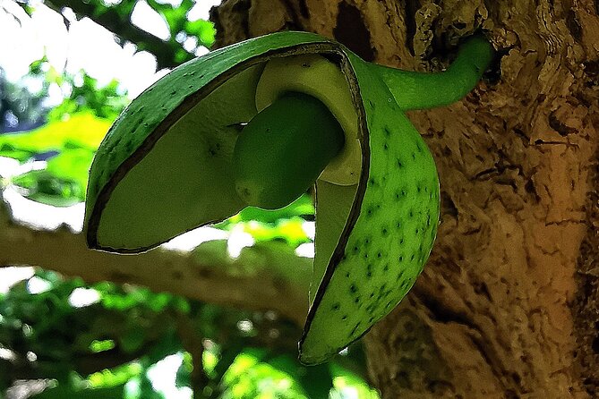 Taino Valley Tropical Park Puerto Plata Tubagua - Guides, Questions, and the Human Side of the Visit