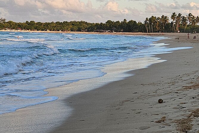 The best buggy/Atv atv punta cana - Is $30.40 a good value?