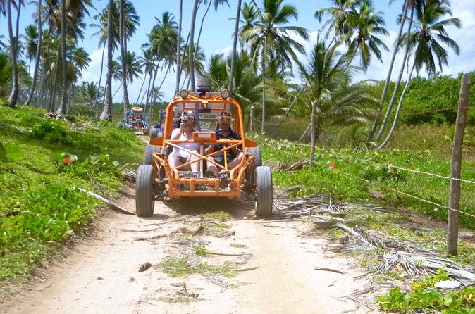 The Original Xtreme Buggy full day adventure! Small groups, VW engine!! - Mangroves, Lemon Lagoon Bay, and a quiet beach