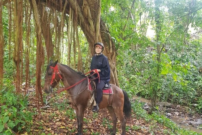 The Ultimate Dominican Horseback Riding Adventure - Key points to know before booking