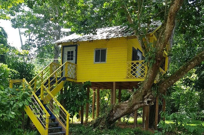 The Ultimate Dominican Horseback Riding Adventure - Cacao, fruit, and the Dominican lunch