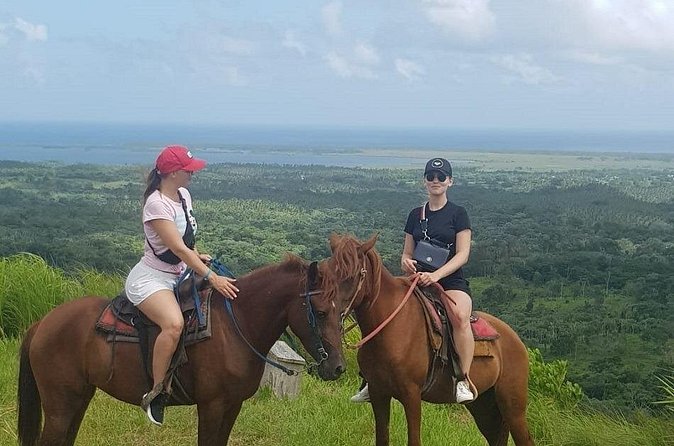The Ultimate Dominican Horseback Riding Adventure - Seeing the Paso Higüeyano horses